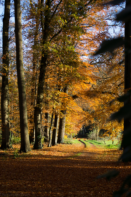 Herfst