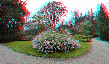 Arboretum Trompenburg Rotterdam 3D