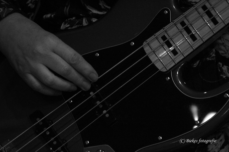 play the bass