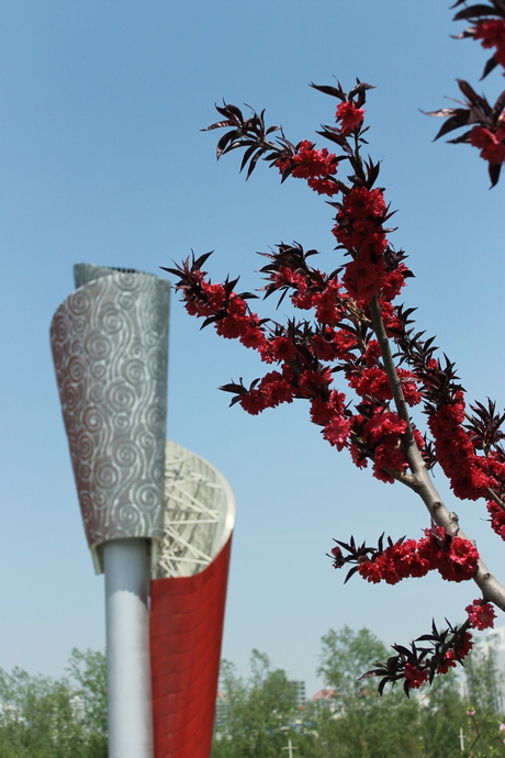 Olympic Torch in Beijing