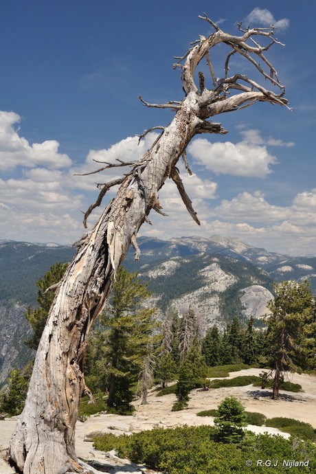 Yosemite