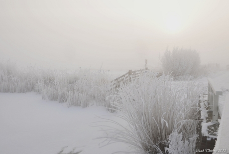 Winter in de polder