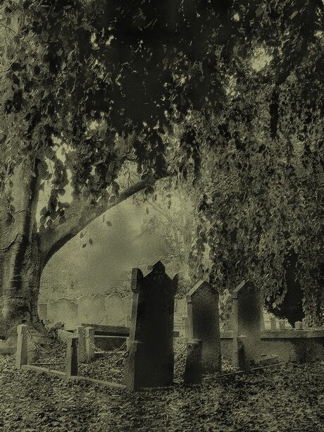 onder de ..................