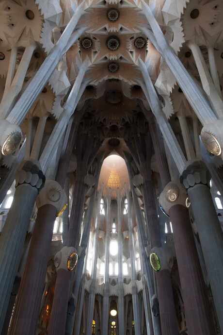 Gaudi's Sagrada 3.jpg