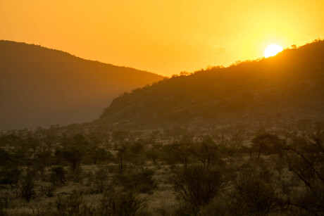 Sundowner - Samburu National Reserve