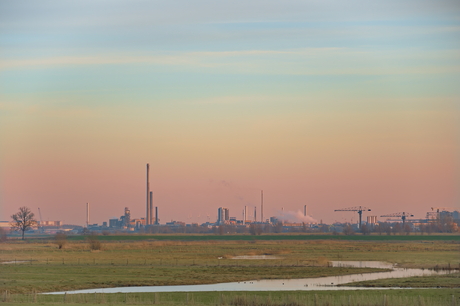 Subteranean Homesick Alien