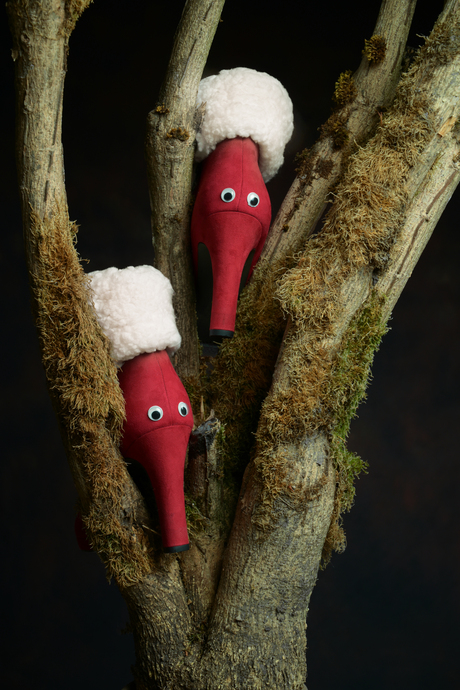 Vrolijk Kerstfeest  !