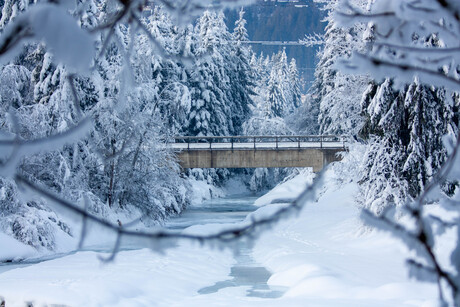 Winterwonderland
