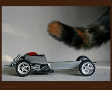 fast cat car 2