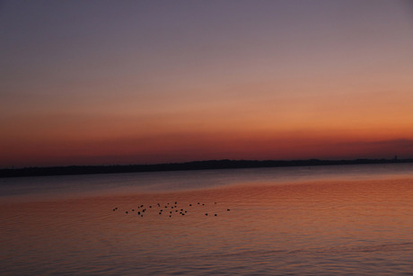 Zon's ondergang almere haven