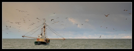 Op de noordzee