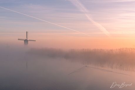 Foggy morning in the Netherlands