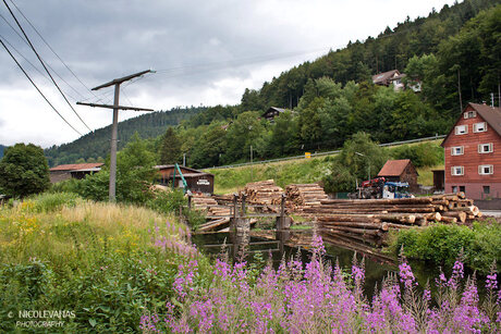 Sägewerk Kappler I