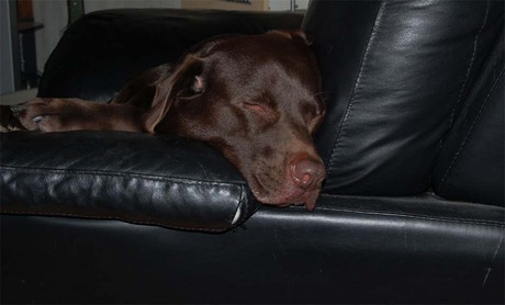 Moe van het buiten zijn