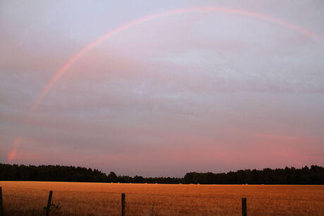 Regenboog