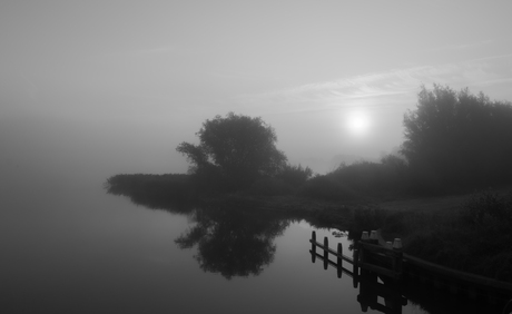 Misty morning