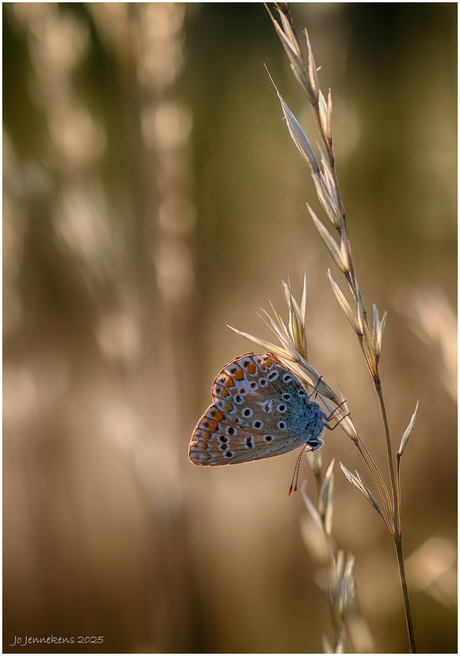 De wereld op zijn kop......