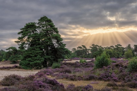 Als de zon doorbreekt