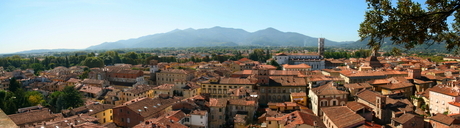 Lucca panoram