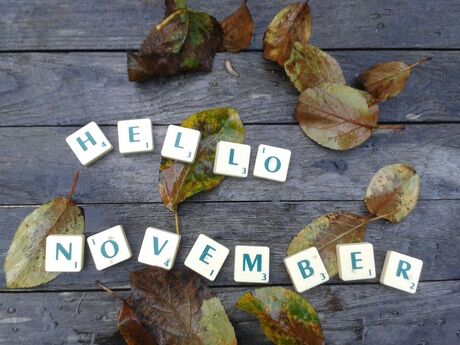 hello november