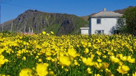 Voorjaar in het noorden van Noorwegen