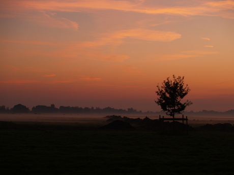Zonsondergang in de polder