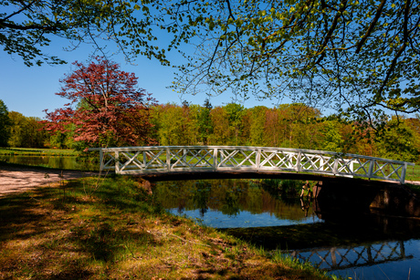 Brug bij Landgoed Elswout