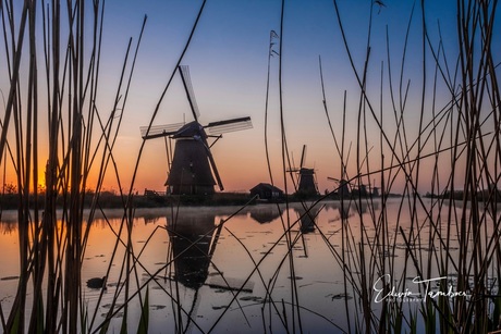 Windmills @sunset