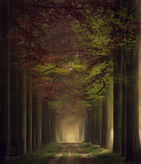 The tunnel of seasons