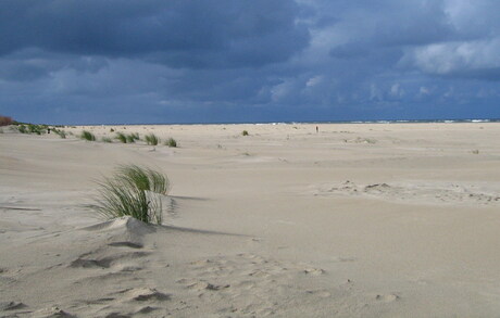 Strand in oktober 2