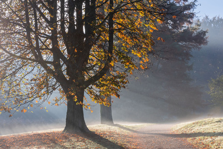 mooi licht