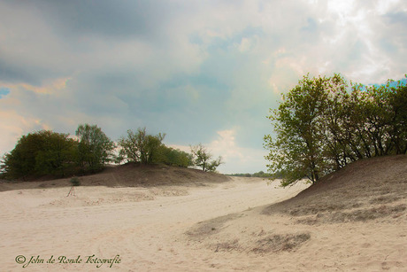 Loonse en Drunense Duinen (09-05-2019)