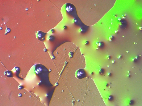 Mother and child....?