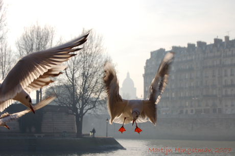 Parijs in vogelvlucht