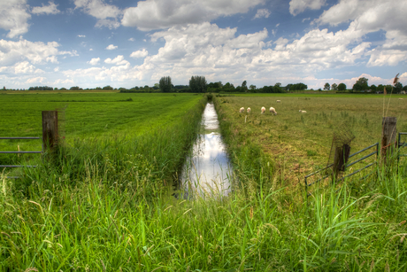 Zicht op de IJsseldijk