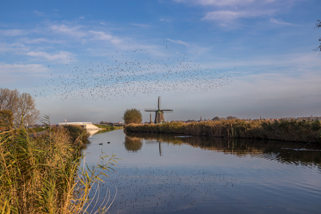 17 Nov Berkmeer Prachtdag-185