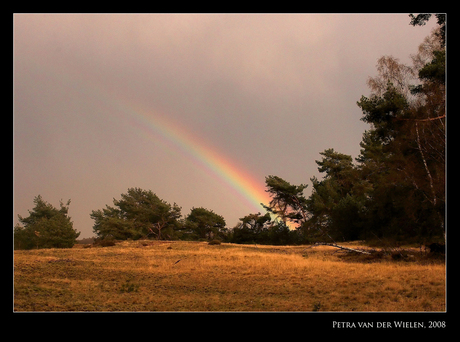 Regenboog