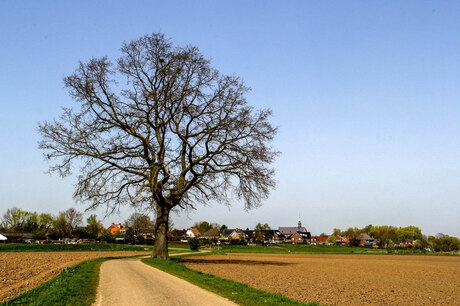 Voorjaar in Limburg