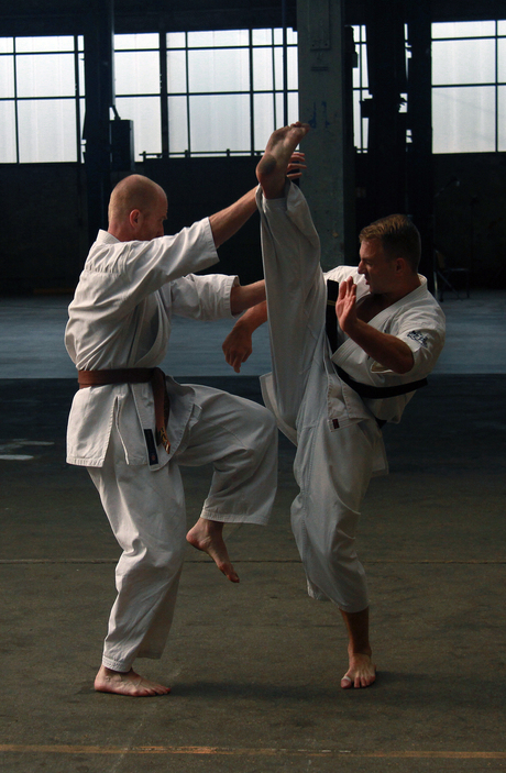 karate actie
