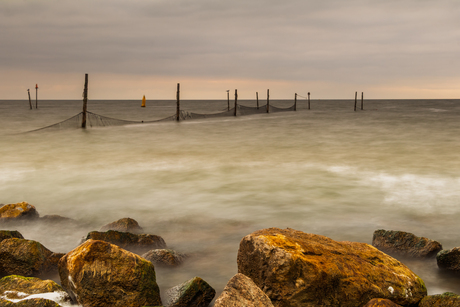 Visstokken IJsselmeer.