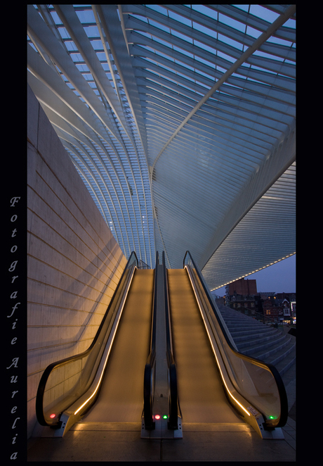 Station Luik 8