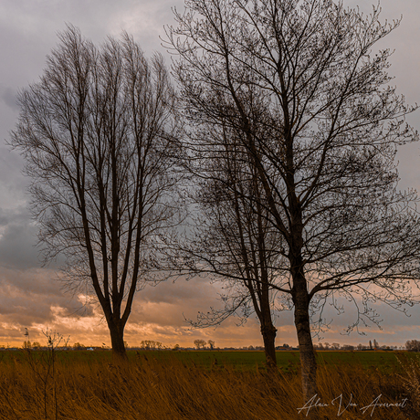 de stille morgen