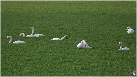 Relaxen …