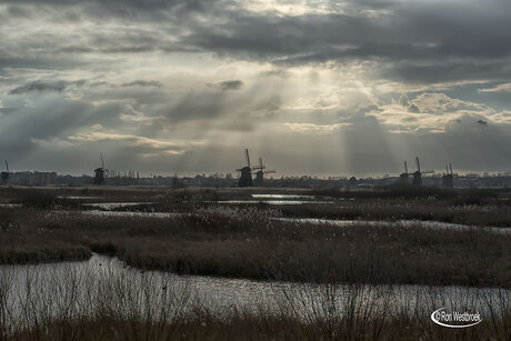 Kinderdijk