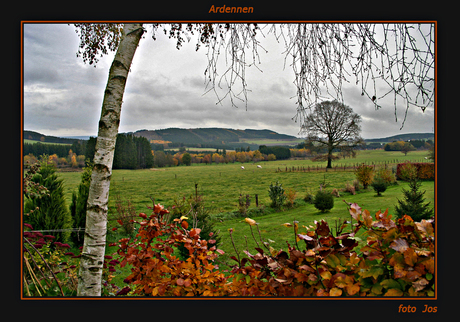 Herfst in de Ardennen 2