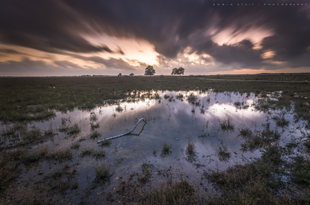 Light to the trees - Donkere wolkenpartijen boven het Dwingelderveld waarbij ik gebruik heb gemaakt van een 0.9 ND filter icm een 0.6 hard grade ND filter - foto door Edwin64 op 25-11-2021 - locatie: Benderse 22, 7963 RA Ruinen, Nederland - deze foto bevat: dwingelderveld, wolken, wolkenpartij, drenthe, lange sluitertijd, nederland, ruinen, pentax, pentax k-5 ii s, sigma or tamron lens, iso 80, diafragma ƒ/11, sluitertijd 42s, brandpuntafstand 11mm, wolk, water, lucht, atmosfeer, plant, natuurlijk landschap, schemering, zonlicht, waterlichaam, atmosferisch fenomeen