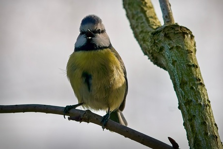 Oog in oog in het moment