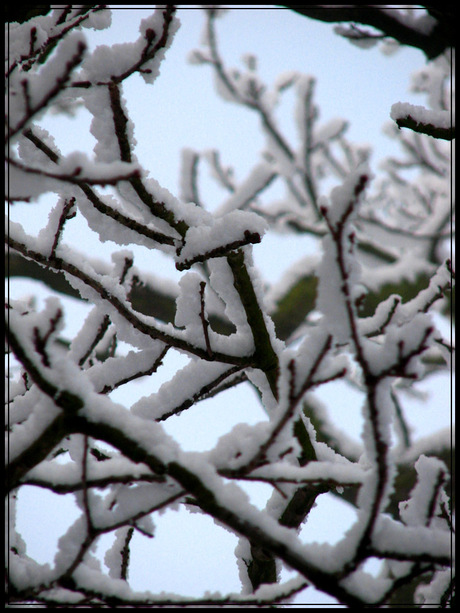 Wintertakjes