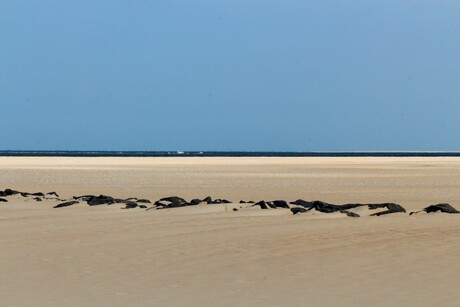 Beach of Eierland, Texel - 3