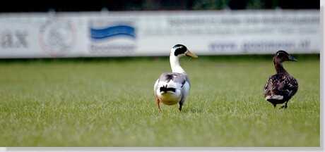 Eendracht maakt macht